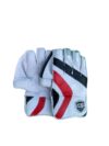 Players Edition Keeping Gloves (Multi Color)