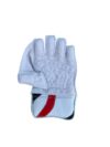 Players Edition Keeping Gloves (Multi Color) - Image 2