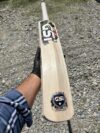 MSD Profile Sapphire Edition - Image 7